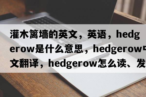 灌木籬墻的英文，英語(yǔ)，hedgerow是什么意思，hedgerow中文翻譯，hedgerow怎么讀、發(fā)音、用法及例句
