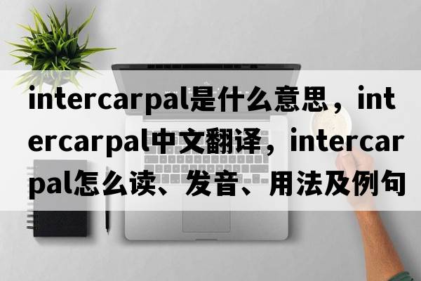 intercarpal是什么意思，intercarpal中文翻譯，intercarpal怎么讀、發(fā)音、用法及例句