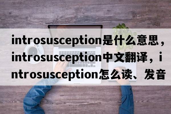 introsusception是什么意思，introsusception中文翻譯，introsusception怎么讀、發(fā)音、用法及例句