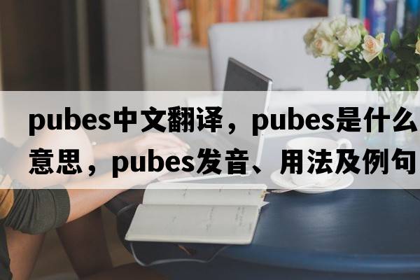 pubes中文翻譯，pubes是什么意思，pubes發(fā)音、用法及例句