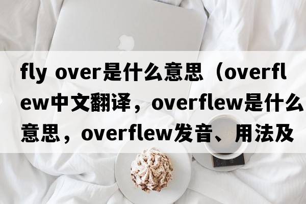 fly over是什么意思（overflew中文翻譯，overflew是什么意思，overflew發(fā)音、用法及例句）