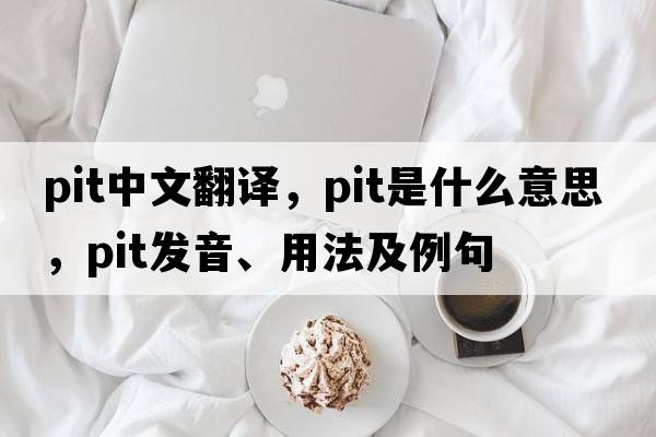 pit中文翻譯，pit是什么意思，pit發(fā)音、用法及例句