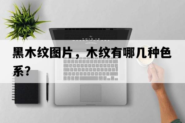 黑木紋圖片，木紋有哪幾種色系？