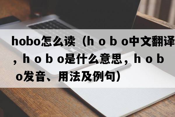 hobo怎么讀（h o b o中文翻譯，h o b o是什么意思，h o b o發(fā)音、用法及例句）