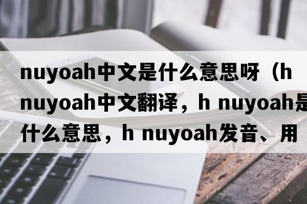 nuyoah中文是什么意思呀（h nuyoah中文翻譯，h nuyoah是什么意思，h nuyoah發(fā)音、用法及例句）
