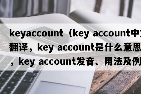 keyaccount（key account中文翻譯，key account是什么意思，key account發(fā)音、用法及例句）