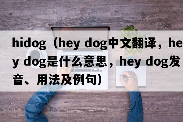 hidog（hey dog中文翻譯，hey dog是什么意思，hey dog發(fā)音、用法及例句）