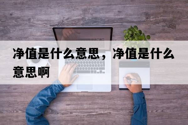 凈值是什么意思，凈值是什么意思啊