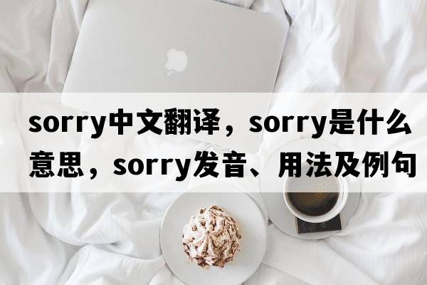 sorry中文翻譯，sorry是什么意思，sorry發(fā)音、用法及例句