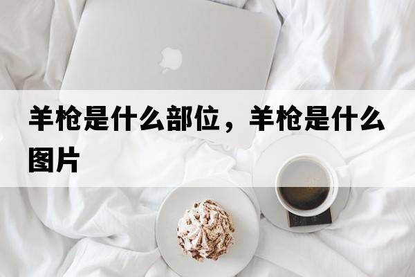 羊槍是什么部位，羊槍是什么圖片
