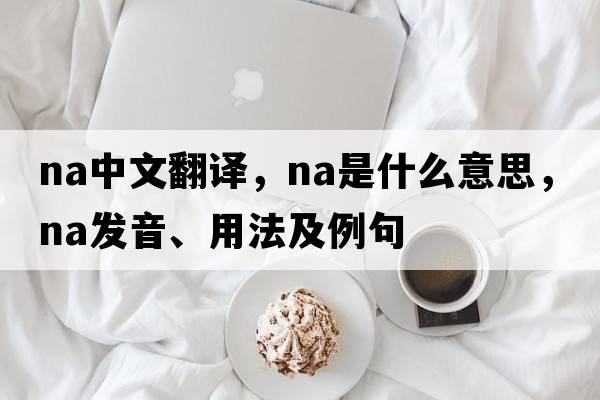 na中文翻譯，na是什么意思，na發(fā)音、用法及例句