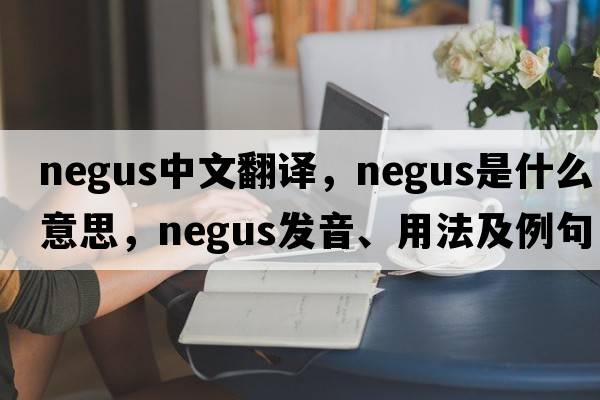 negus中文翻譯，negus是什么意思，negus發(fā)音、用法及例句