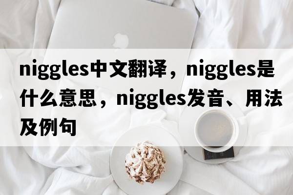 niggles中文翻譯，niggles是什么意思，niggles發(fā)音、用法及例句