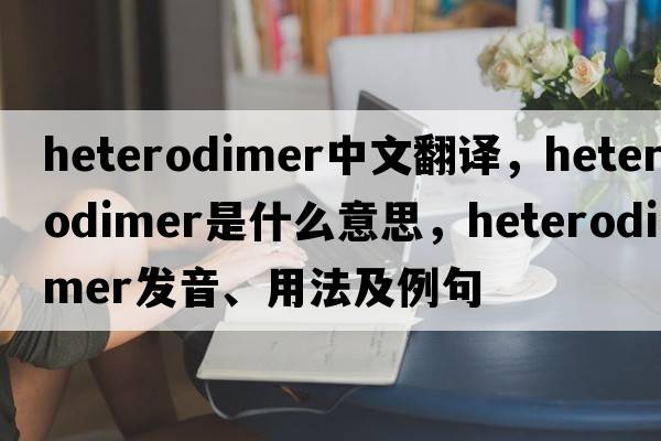 heterodimer中文翻譯，heterodimer是什么意思，heterodimer發(fā)音、用法及例句