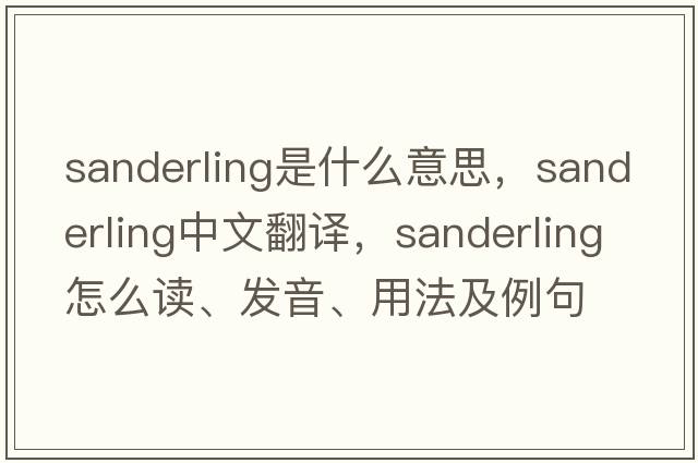 sanderling是什么意思，sanderling中文翻譯，sanderling怎么讀、發(fā)音、用法及例句