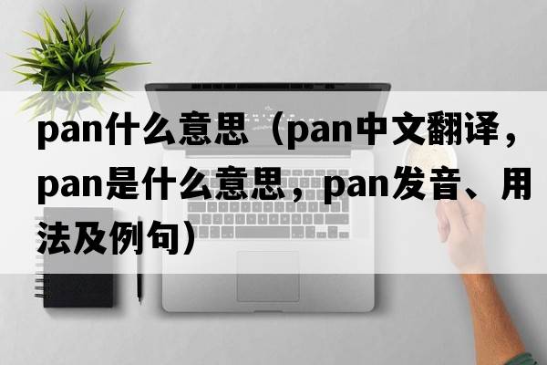 pan什么意思（pan中文翻譯，pan是什么意思，pan發(fā)音、用法及例句）