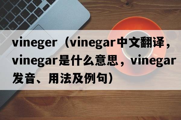 vineger（vinegar中文翻譯，vinegar是什么意思，vinegar發(fā)音、用法及例句）