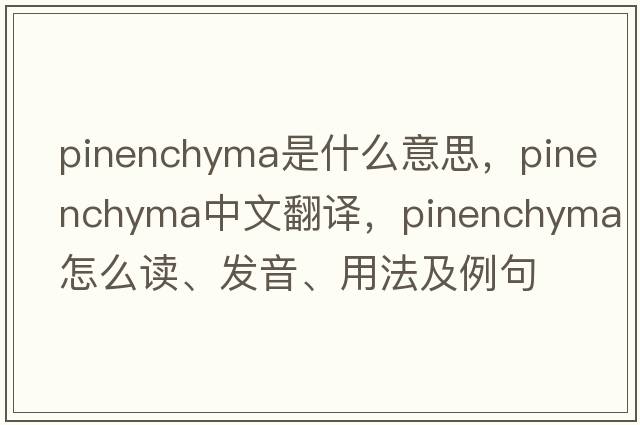 pinenchyma是什么意思，pinenchyma中文翻譯，pinenchyma怎么讀、發(fā)音、用法及例句
