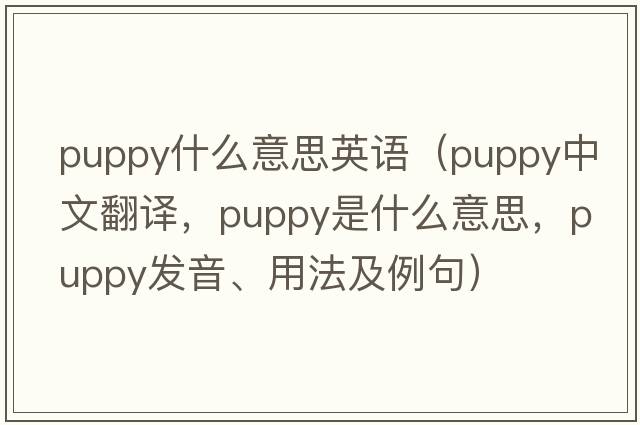 puppy什么意思英語(yǔ)（puppy中文翻譯，puppy是什么意思，puppy發(fā)音、用法及例句）