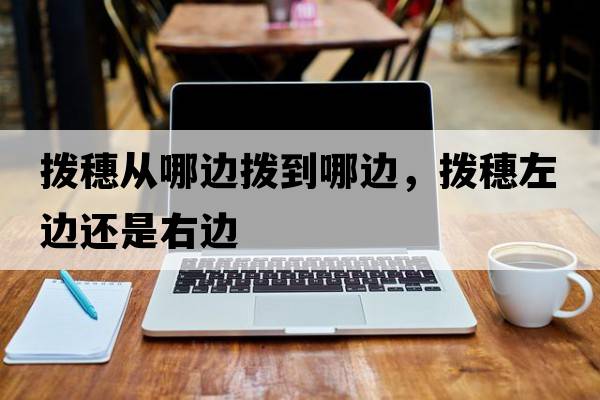 撥穗從哪邊撥到哪邊，撥穗左邊還是右邊