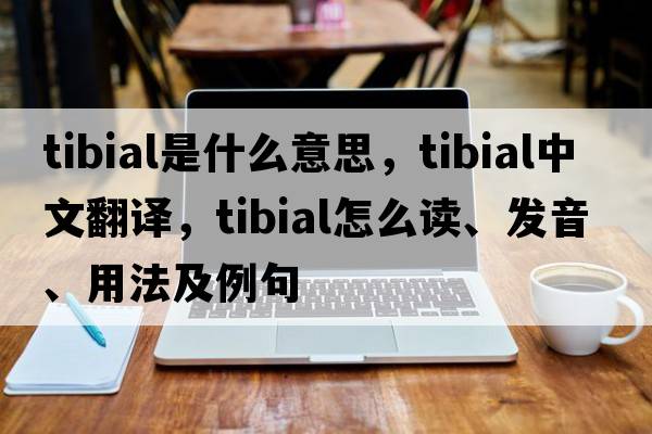 tibial是什么意思，tibial中文翻譯，tibial怎么讀、發(fā)音、用法及例句