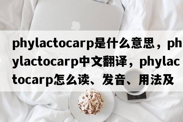 phylactocarp是什么意思，phylactocarp中文翻譯，phylactocarp怎么讀、發(fā)音、用法及例句