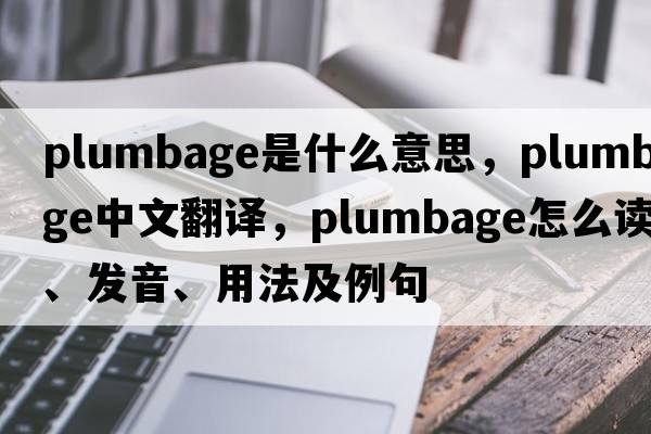 plumbage是什么意思，plumbage中文翻譯，plumbage怎么讀、發(fā)音、用法及例句