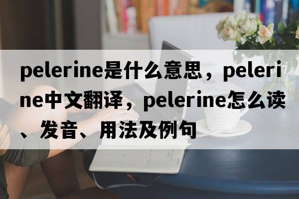 pelerine是什么意思，pelerine中文翻譯，pelerine怎么讀、發(fā)音、用法及例句