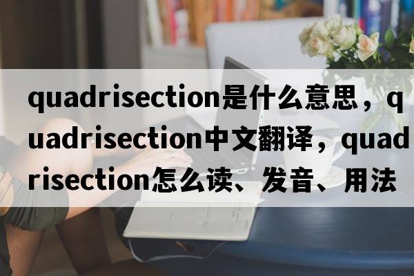 quadrisection是什么意思，quadrisection中文翻譯，quadrisection怎么讀、發(fā)音、用法及例句