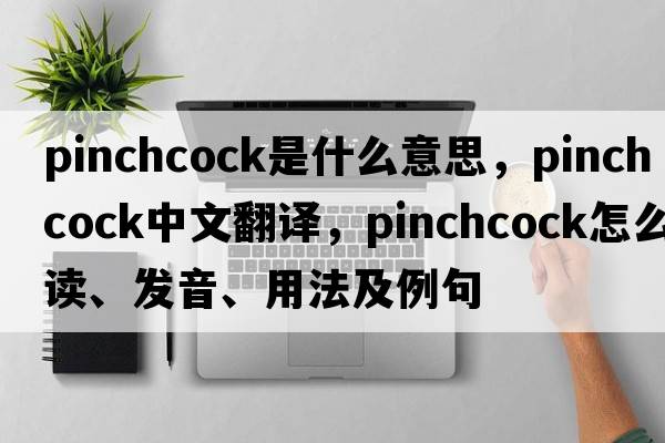 pinchcock是什么意思，pinchcock中文翻譯，pinchcock怎么讀、發(fā)音、用法及例句