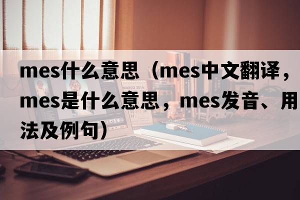 mes什么意思（mes中文翻譯，mes是什么意思，mes發(fā)音、用法及例句）