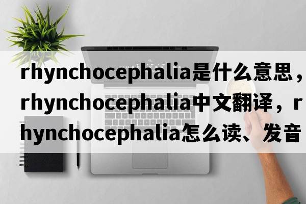rhynchocephalia是什么意思，rhynchocephalia中文翻譯，rhynchocephalia怎么讀、發(fā)音、用法及例句