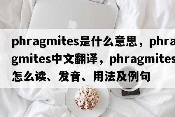 Phragmites是什么意思，Phragmites中文翻譯，Phragmites怎么讀、發(fā)音、用法及例句