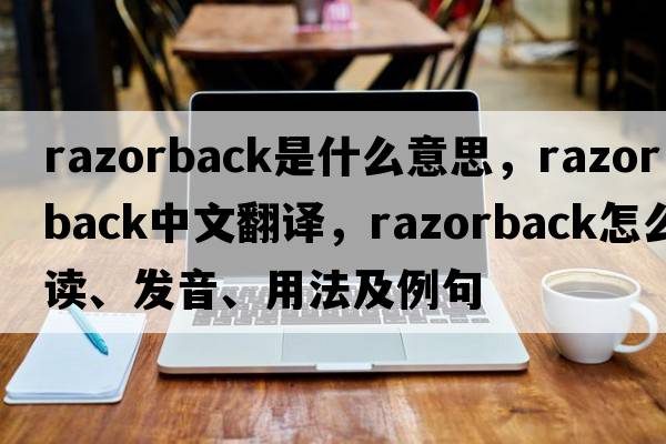 razorback是什么意思，razorback中文翻譯，razorback怎么讀、發(fā)音、用法及例句