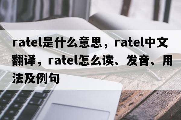ratel是什么意思，ratel中文翻譯，ratel怎么讀、發(fā)音、用法及例句