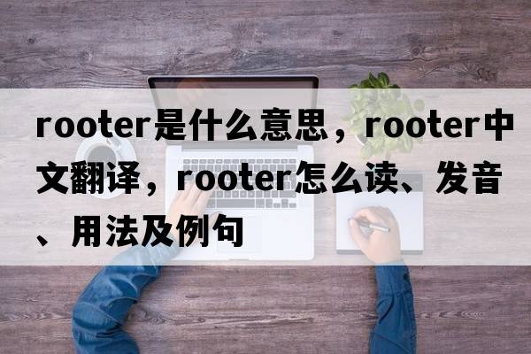 rooter是什么意思，rooter中文翻譯，rooter怎么讀、發(fā)音、用法及例句