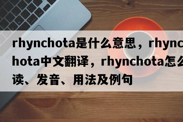 Rhynchota是什么意思，Rhynchota中文翻譯，Rhynchota怎么讀、發(fā)音、用法及例句