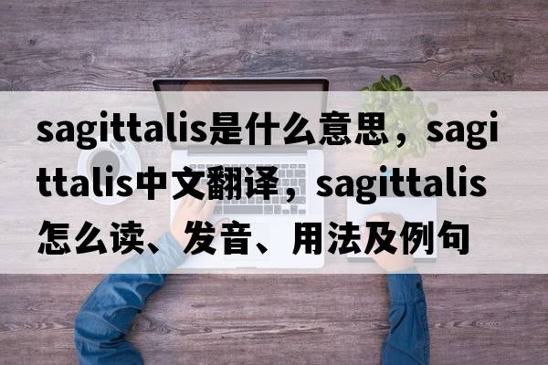 sagittalis是什么意思，sagittalis中文翻譯，sagittalis怎么讀、發(fā)音、用法及例句