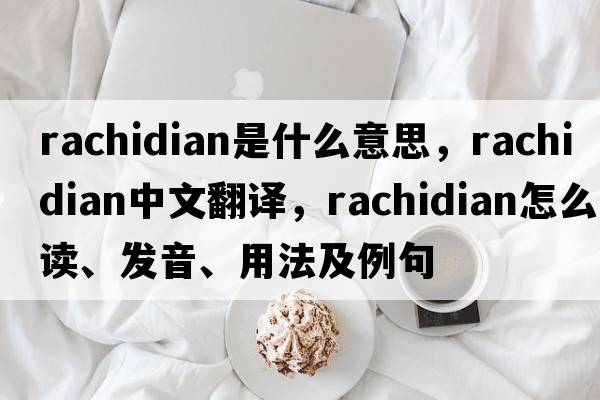 rachidian是什么意思，rachidian中文翻譯，rachidian怎么讀、發(fā)音、用法及例句