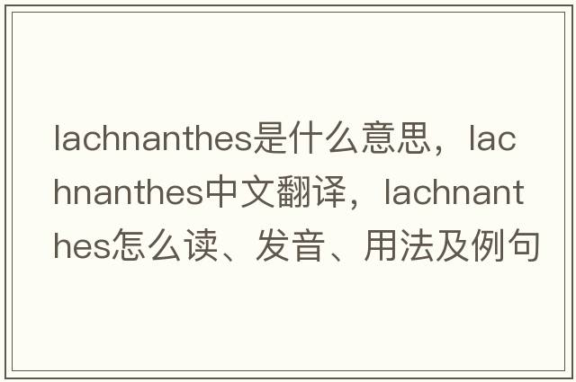 Lachnanthes是什么意思，Lachnanthes中文翻譯，Lachnanthes怎么讀、發(fā)音、用法及例句