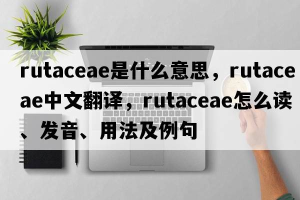 Rutaceae是什么意思，Rutaceae中文翻譯，Rutaceae怎么讀、發(fā)音、用法及例句