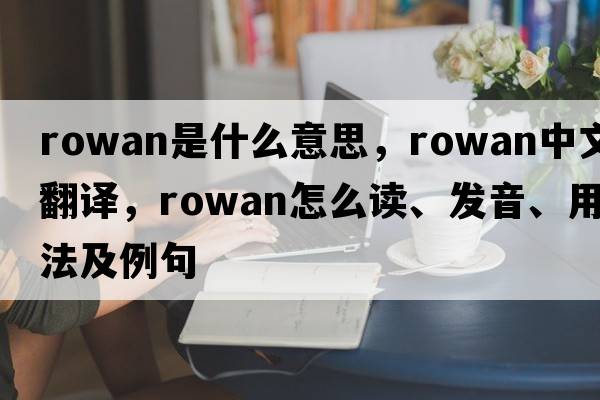 rowan是什么意思，rowan中文翻譯，rowan怎么讀、發(fā)音、用法及例句