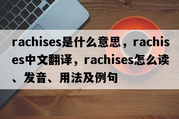 rachises是什么意思，rachises中文翻譯，rachises怎么讀、發(fā)音、用法及例句