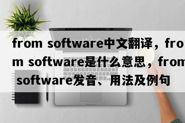 from software中文翻譯，from software是什么意思，from software發(fā)音、用法及例句