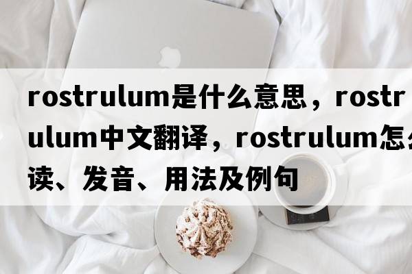 rostrulum是什么意思，rostrulum中文翻譯，rostrulum怎么讀、發(fā)音、用法及例句