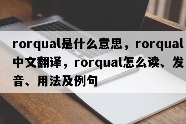rorqual是什么意思，rorqual中文翻譯，rorqual怎么讀、發(fā)音、用法及例句