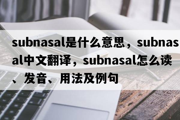 subnasal是什么意思，subnasal中文翻譯，subnasal怎么讀、發(fā)音、用法及例句