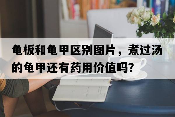 龜板和龜甲區別圖片，煮過(guò)湯的龜甲還有藥用價(jià)值嗎？