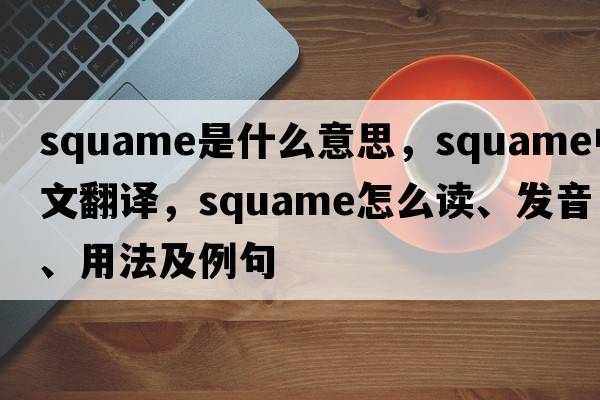 squame是什么意思，squame中文翻譯，squame怎么讀、發(fā)音、用法及例句