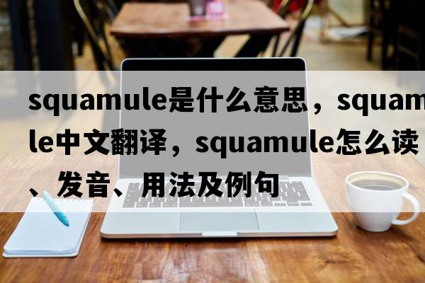 squamule是什么意思，squamule中文翻譯，squamule怎么讀、發(fā)音、用法及例句